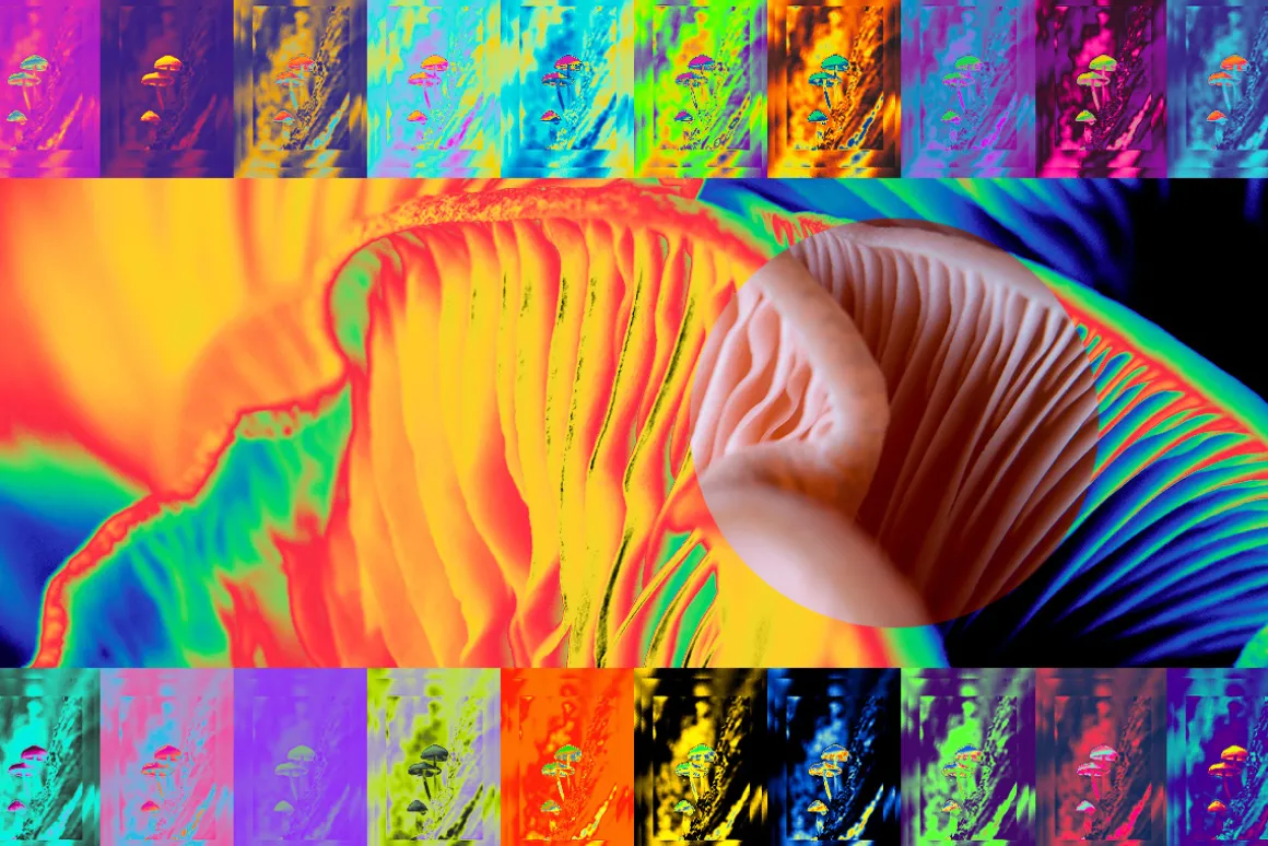 Psychedelic - Gradient Maps