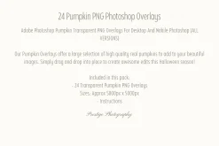 Pumpkin Photoshop Overlays