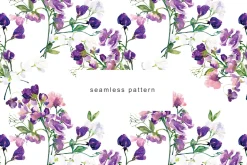 Purple Coral Baby Pink Sweet Pea