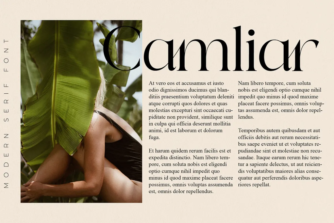 Qeilab Modern Serif Font