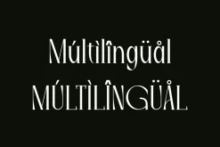Qisschek - Modern Serif Font