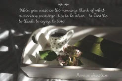 Quaint Garden Floral Font +EXTRAS