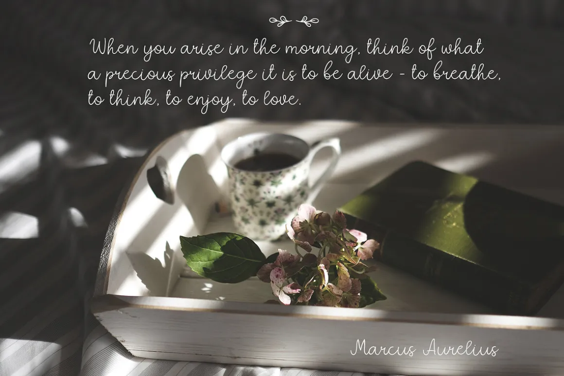 Quaint Garden Floral Font +EXTRAS