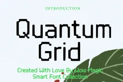 Quantum Grid