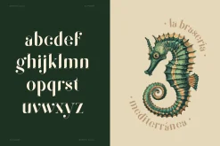 QUENTO | Modern Serif Display Font