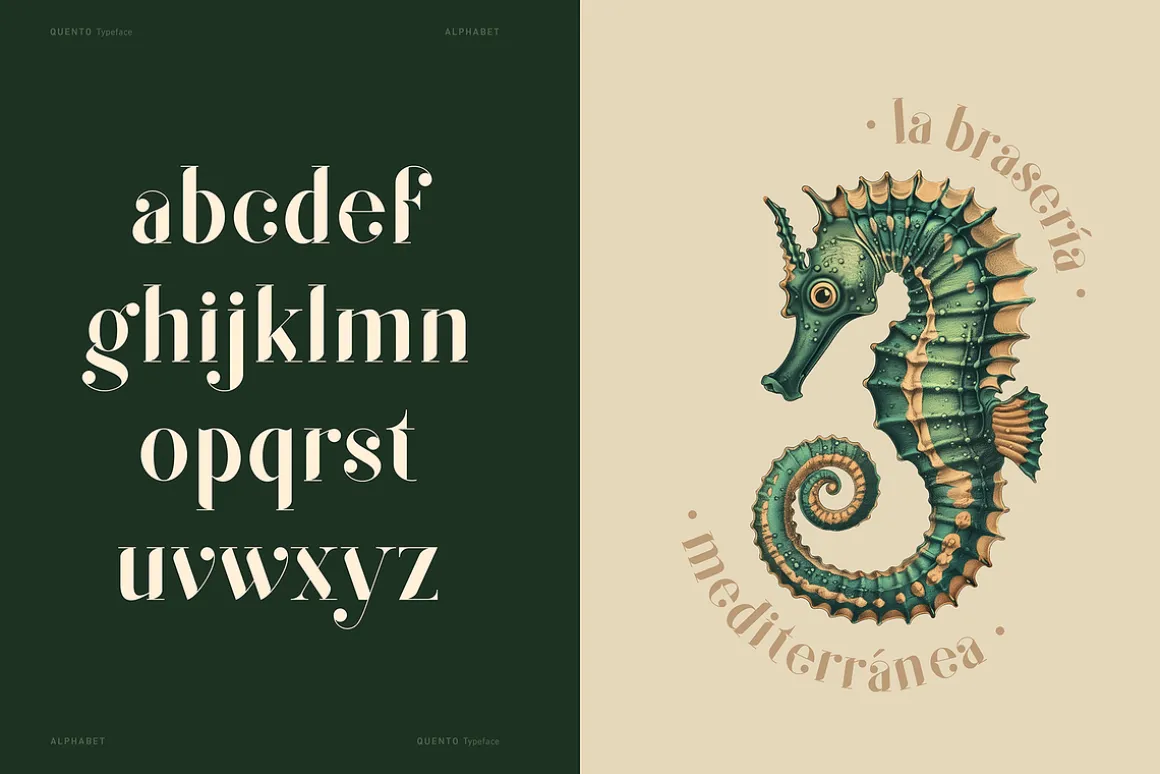 QUENTO | Modern Serif Display Font