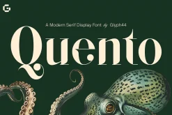QUENTO | Modern Serif Display Font