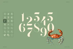 QUENTO | Modern Serif Display Font