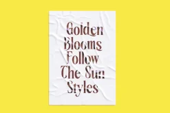 Rachon Bold Tall Display Serif
