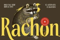 Rachon Bold Tall Display Serif