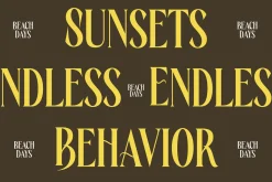 Rachon Bold Tall Display Serif