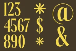 Rachon Bold Tall Display Serif