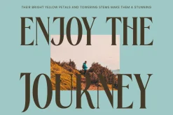Rachon Bold Tall Display Serif