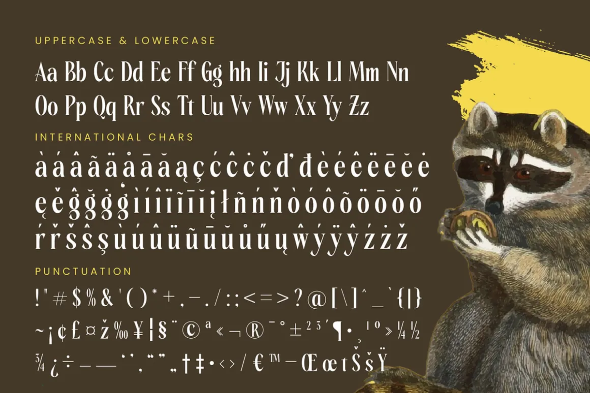 Rachon Bold Tall Display Serif