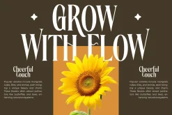 Rachon Bold Tall Display Serif