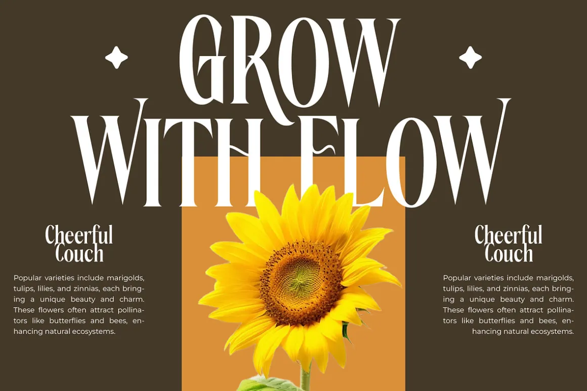 Rachon Bold Tall Display Serif