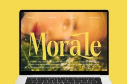 Rachon Bold Tall Display Serif