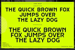 Ragnor - Futuristic Y2K Fonts