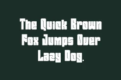 Raikan Cogino - Round Bold Font