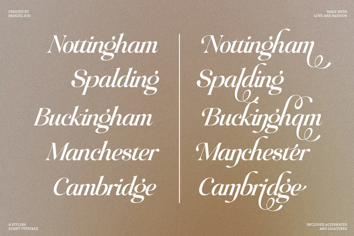 Raillouise Stylish Script Font