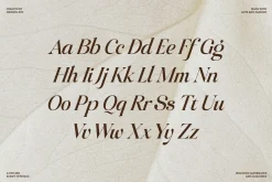 Raillouise Stylish Script Font