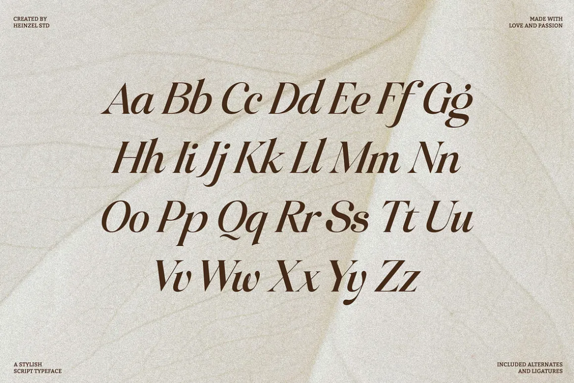 Raillouise Stylish Script Font