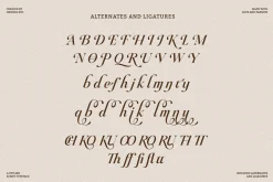 Raillouise Stylish Script Font