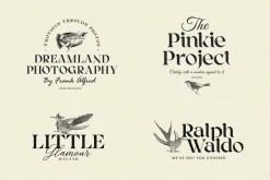 Rallia | Modern Classic Serif