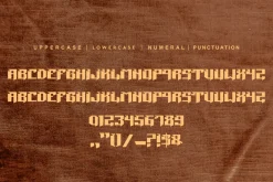 Rasegar Font