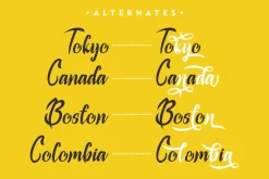 Rashard - Brush Lettering Font