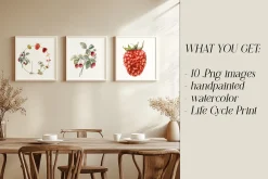Raspberry Life Cycle Set