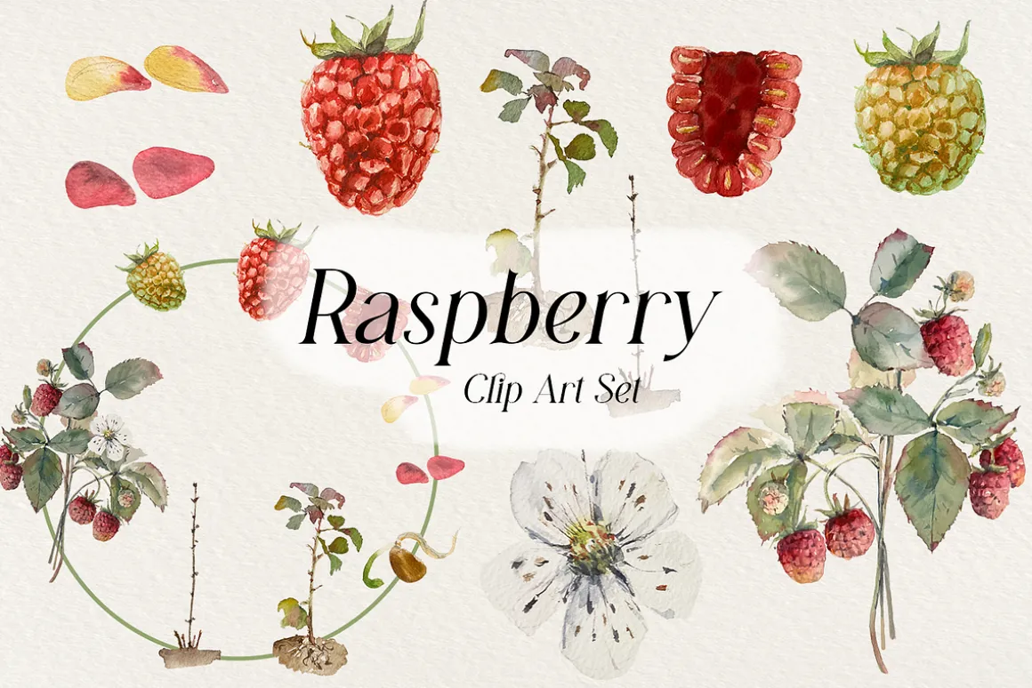 Raspberry Life Cycle Set