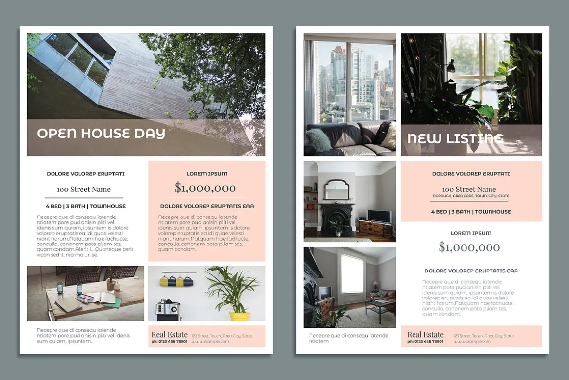 Real Estate Flyer Set