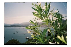 REALISTIC ANALOG FILM FRAME