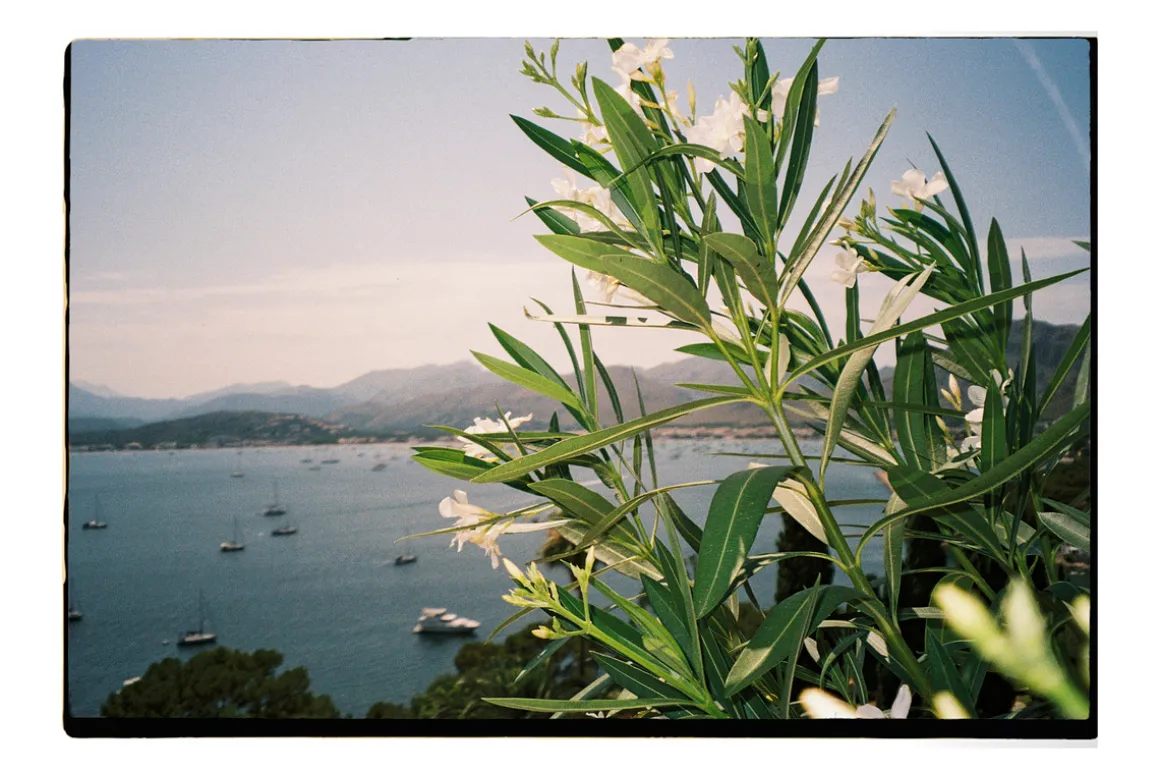 REALISTIC ANALOG FILM FRAME