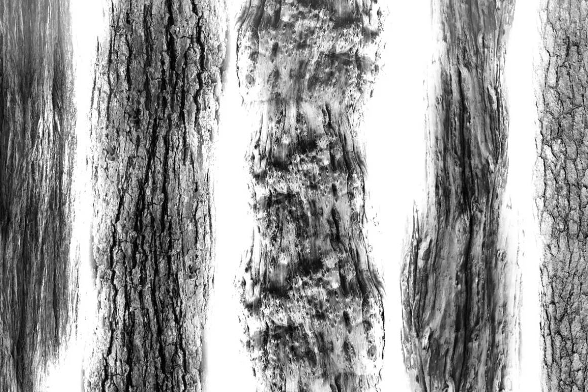 Realistic Tree bark brush set