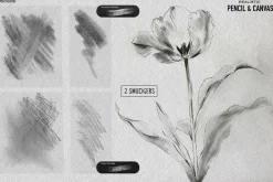 Real Pencil & Canvas for Procreate