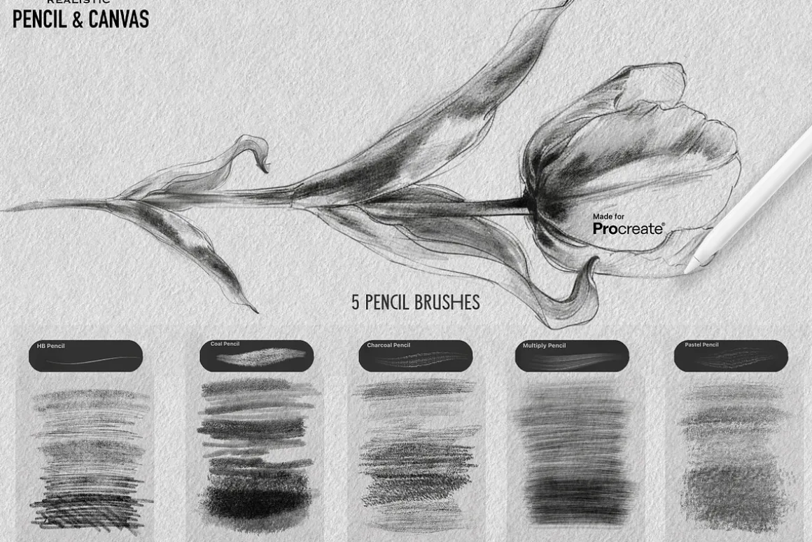 Real Pencil & Canvas for Procreate