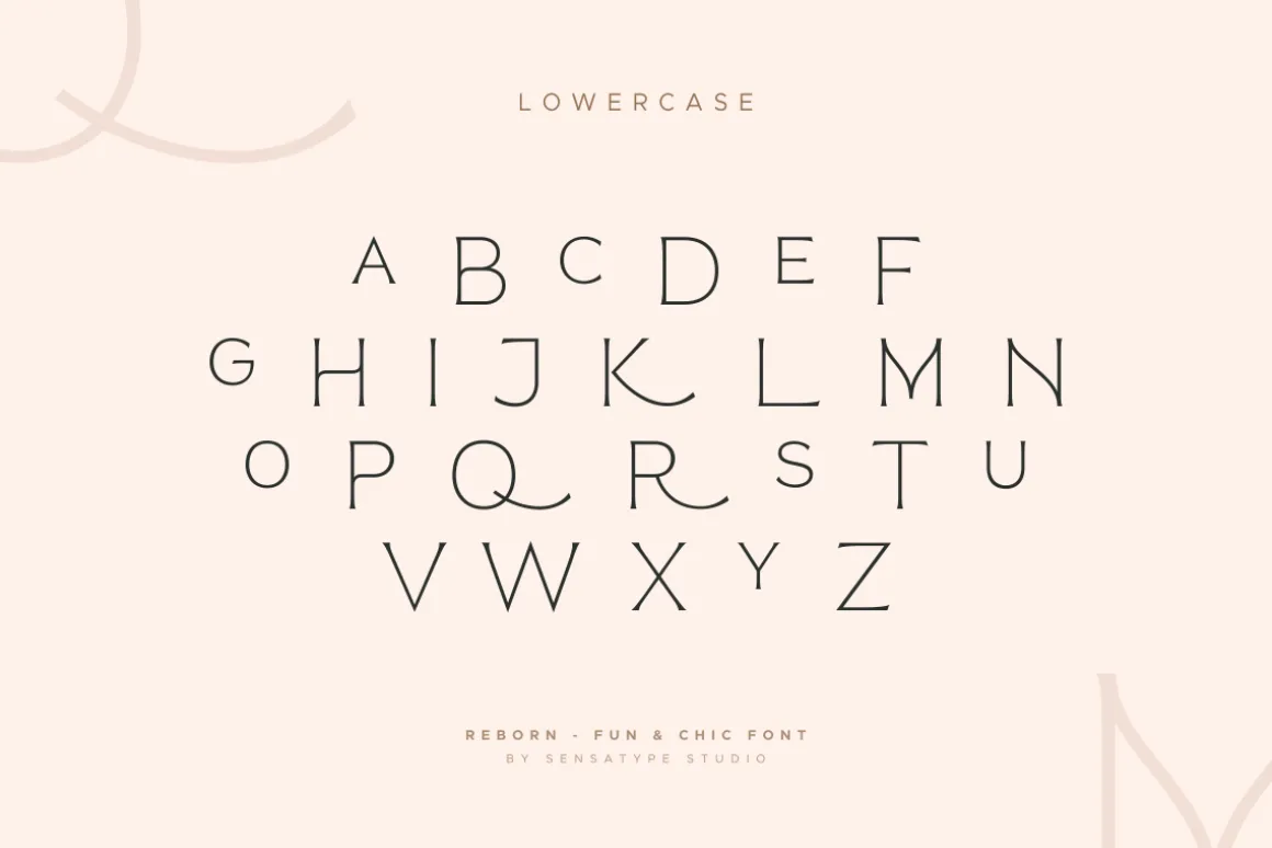 Reborn - Modern Chic Font