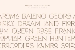 Reborn - Modern Chic Font
