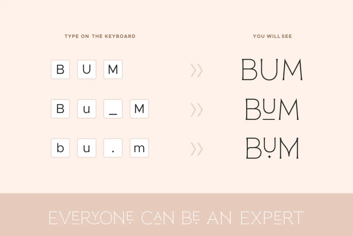 Reborn - Modern Chic Font