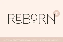 Reborn - Modern Chic Font