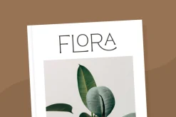 Reborn - Modern Chic Font