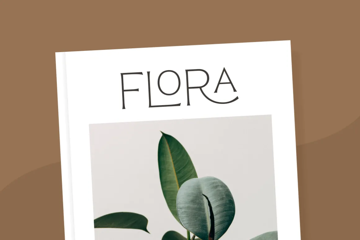 Reborn - Modern Chic Font