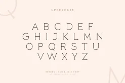 Reborn - Modern Chic Font