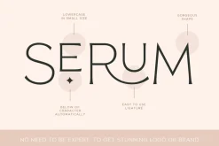 Reborn - Modern Chic Font