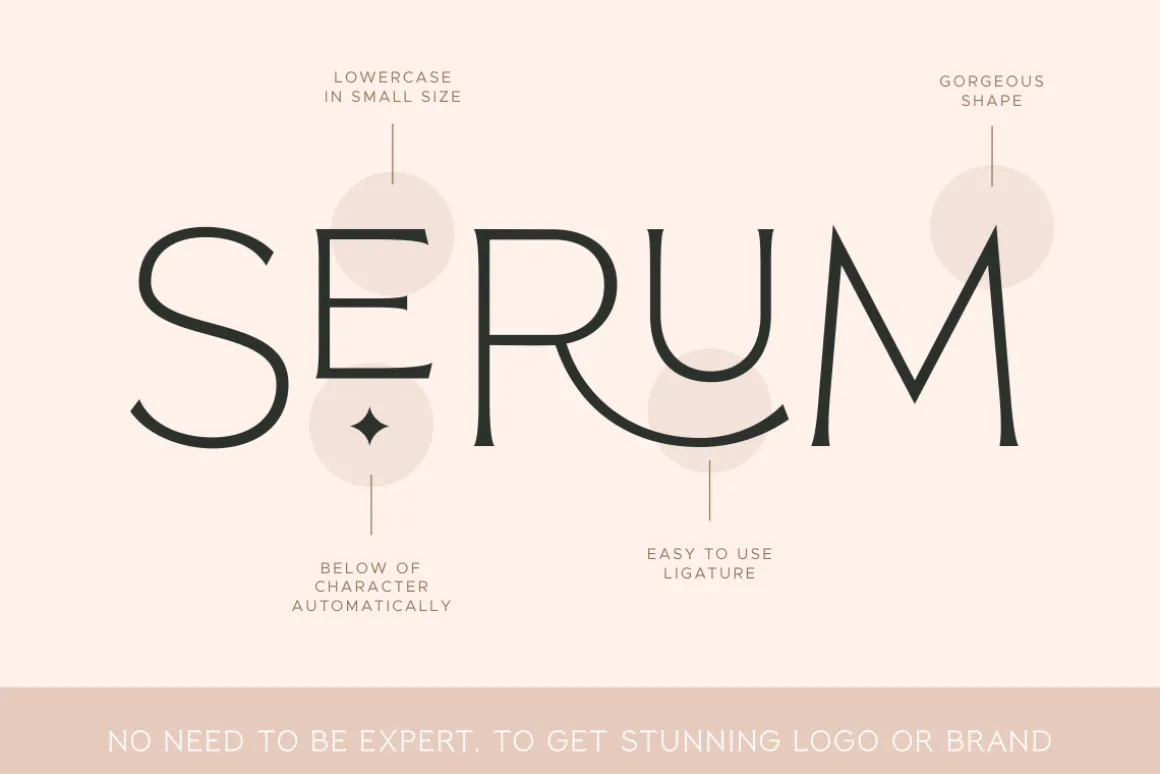 Reborn - Modern Chic Font