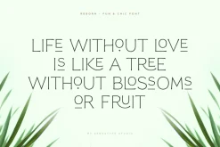 Reborn - Modern Chic Font