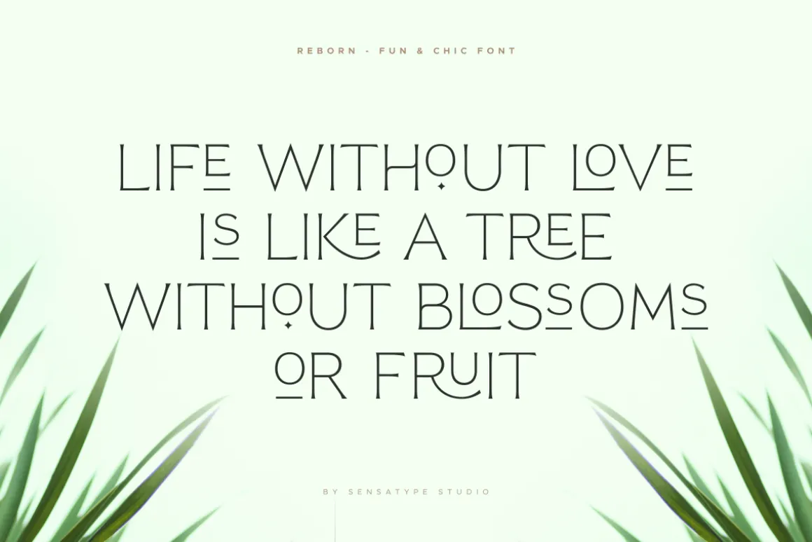Reborn - Modern Chic Font