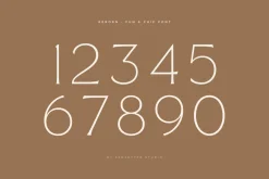 Reborn - Modern Chic Font
